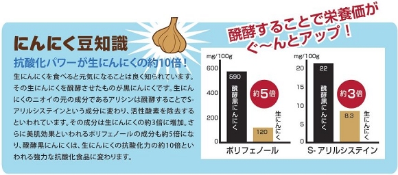 醗酵することで栄養価がぐ〜んとアップ!